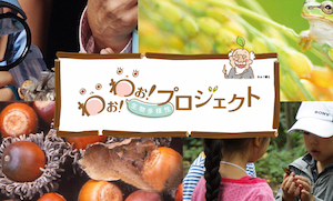 公式サイトのスクリーンショット